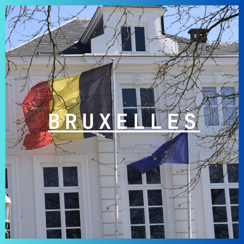 Voyage d'études à Bruxelles